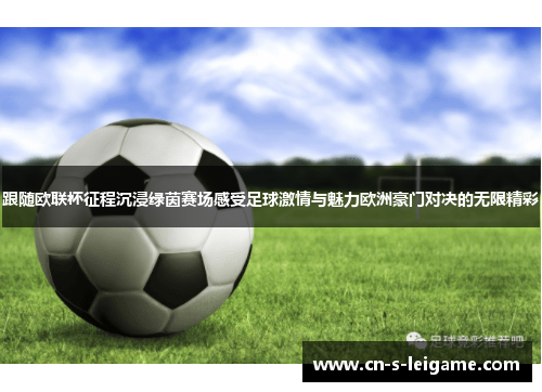 跟随欧联杯征程沉浸绿茵赛场感受足球激情与魅力欧洲豪门对决的无限精彩