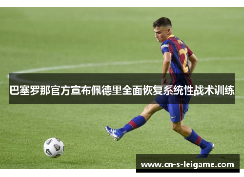 巴塞罗那官方宣布佩德里全面恢复系统性战术训练 巴塞罗那官方宣布佩德里全面恢复系统性战术训练